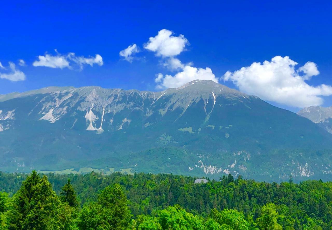 Apartma As Bled Esterno foto